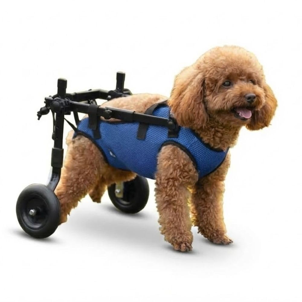 Amazon.co.jp: MIKEART 犬用車椅子 小型犬 中型犬 2輪 歩行器 後ろ足